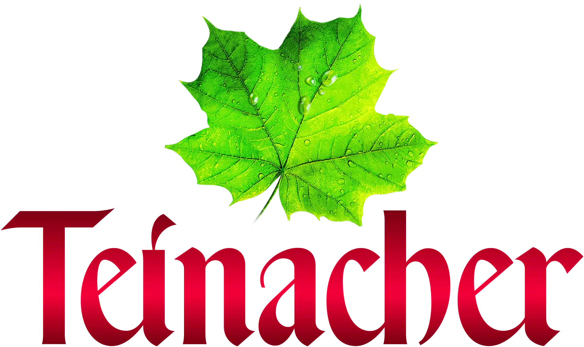 Teinacher Logo mit grünem Ahornblatt und roter Schrift – natürliches Mineralwasser und Erfrischungsgetränke aus dem Schwarzwald